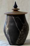 02_gohy_delphine_bote_raku_nu__bois_tourn.jpg