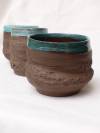 19_gohy_delphine_pots_plantes.jpg