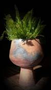 03__gohy_delphine_djemb_plantes.jpg