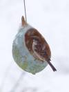 11_gohy_delphine_suspension_cocon_neige.jpg