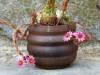 09__gohy_delphine_enfumage_et_sempervivum.jpg